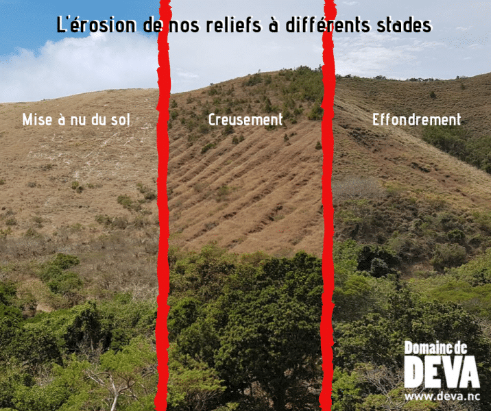 Le domaine de Déva est un espace naturel préservé mais il est exposé à l'érosion