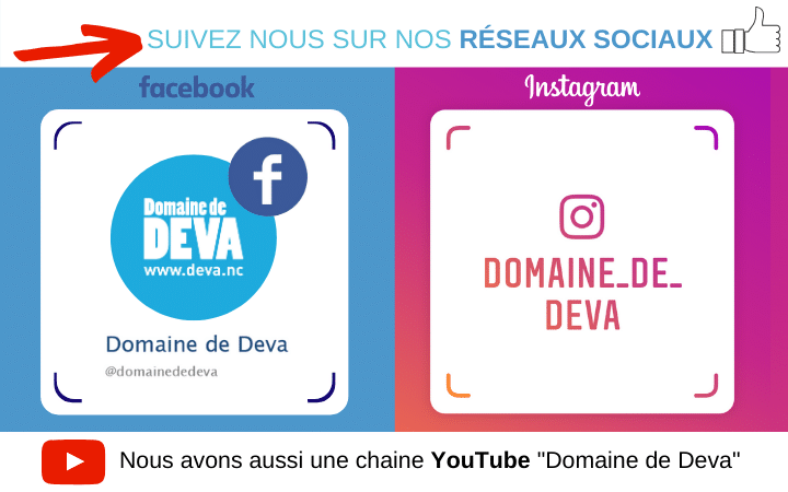 Le Domaine de Déva est son actualité, ses nouveauté et évènnements sont présents sur les réseaux sociaux Youtube, Instagram et Facebook.